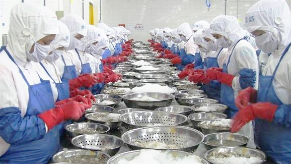 Xuất khẩu thủy sản 2017: Vượt vũ môn ngoạn mục