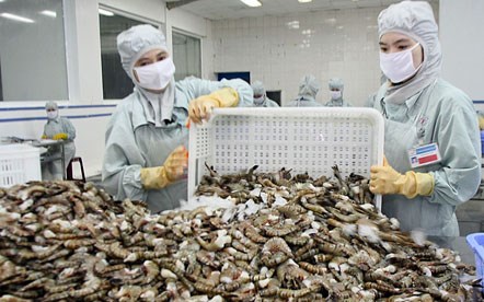 xuất khẩu tôm 2015