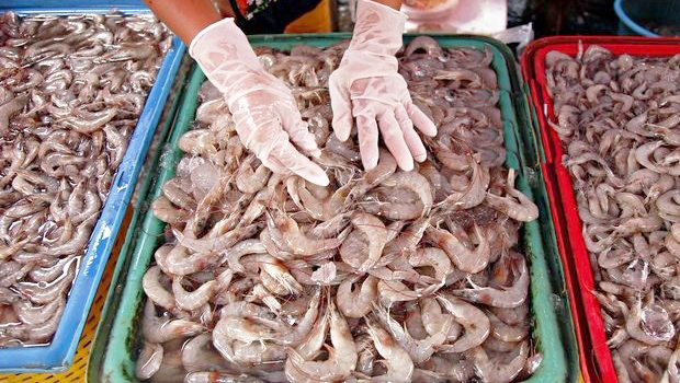 Thái Lan cấm nhập khẩu tôm Ấn Độ trong 3 tháng