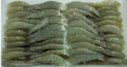 xuat khau tom chan trang