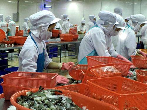 xuất khẩu tôm chân trắng