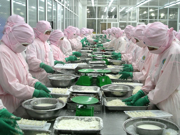xuất khẩu tôm khởi sắc