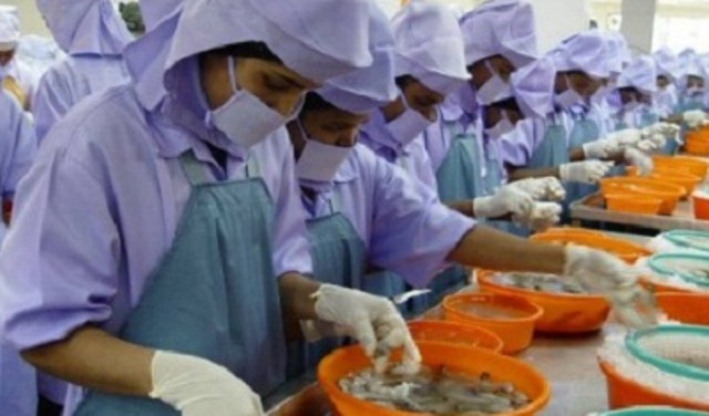 xuất khẩu tôm sang Ấn Độ