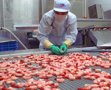 xuất khẩu tôm sang Nhật