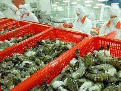 tom xuat khau sang Nhat Ban gap kho khan