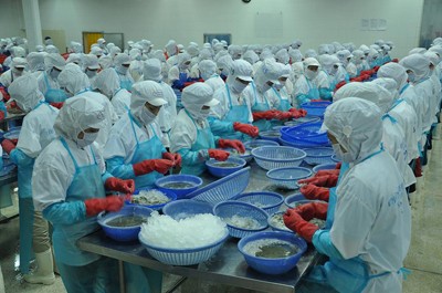 xuất khẩu tôm tăng trưởng