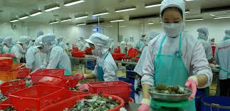 xuất khẩu tôm vào Nga