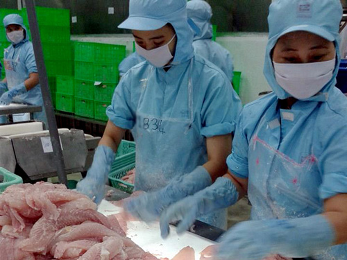 xuất khẩu cá tra