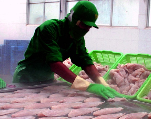 xuất khẩu cá tra