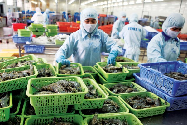 xuất khẩu tôm Việt Nam