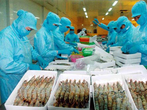 xuất khẩu tôm