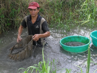 xúc trùn chỉ