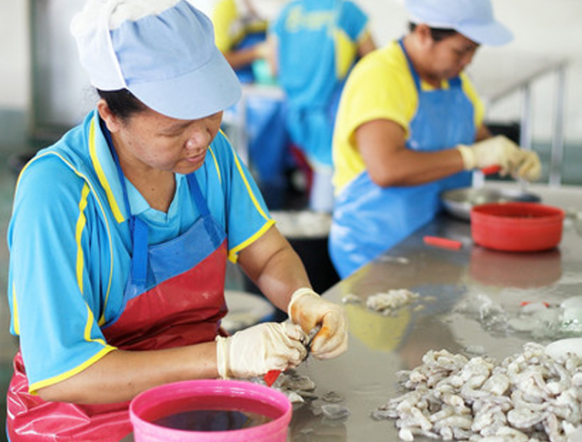 chế biến tôm xuất khẩu