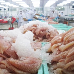 VASEP thông cáo báo chí về thuế chống bán phá giá cá tra