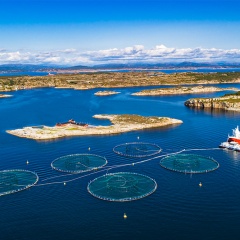 8 Đột phá công nghệ ứng dụng trong nuôi trồng thủy sản