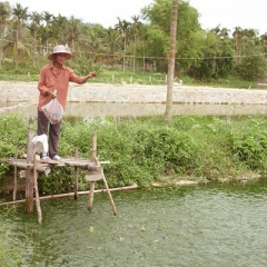 Kim Đông: Đưa nuôi trồng thủy thành kinh tế mũi nhọn