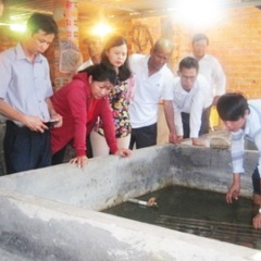Hiệu quả mô hình nuôi lươn thương phẩm ở Bình Thuận