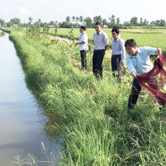 Nhiều hướng đi mới và cơ hội làm giàu cho nông dân