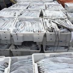 Quỳnh Lưu (Nghệ An) xuất khẩu 2.000 tấn cá hố một nắng