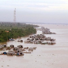 Triệu phú nuôi cá bè ở cù lao Thới Sơn