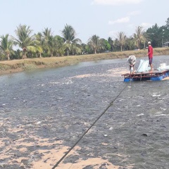 Cá tra vào Mỹ cầm chắc thua lỗ