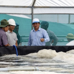 Ngọc Hiển: Cần tăng phát triển nuôi tôm sinh thái