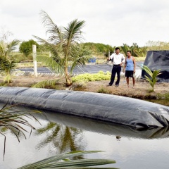 Ứng dụng biogas xử lý chất thải tôm nuôi siêu thâm canh