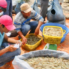 Tiếp cận khôn ngoan, tiêu thụ dễ dàng