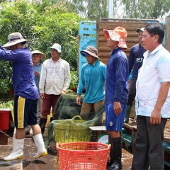 Xuất khẩu cá vào thị trường Campuchia tăng mạnh