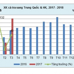 Xuất khẩu cá tra sang Trung Quốc sẽ giữ đà tăng trong thời gian tới