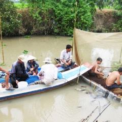 Đồng Tháp: Cấm đánh bắt cá trong mùa sinh sản