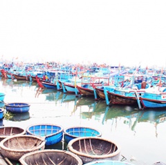 Khánh Hòa: Nhiều tàu cá nằm bờ