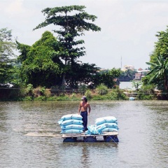 Công nghệ mới nuôi cá tra bền vững