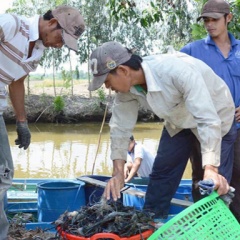 Làm giàu bằng nông nghiệp sạch