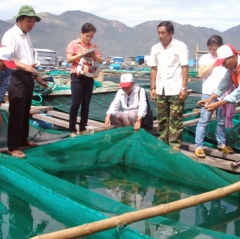 Khánh Hòa: Diện tích nuôi trồng thủy sản giảm