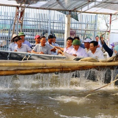 Nghiệm thu mô hình nuôi tôm thẻ theo công nghệ Biofloc