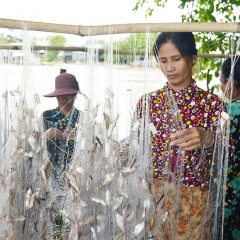 An Giang: Sẵn sàng đón mùa lũ mới