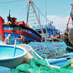 Hiệu quả nghề lưới rê trong đánh bắt hải sản xa bờ