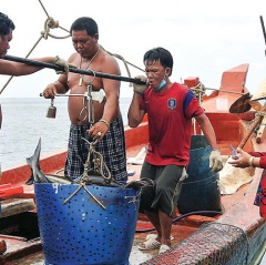 Lênh đênh nghề nuôi cá lồng bè ở Đảo Hòn Chuối