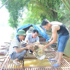 Làng có cuộc sống ấm no từ "chúa tể" dòng sông