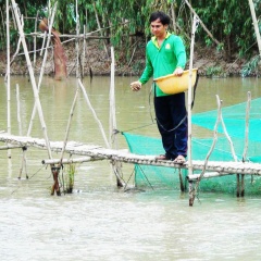 Long An: Nông dân chưa nhận được tiền hỗ trợ