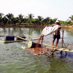 Long An: Hỗ trợ tối đa 400 triệu đồng/dự án thủy sản