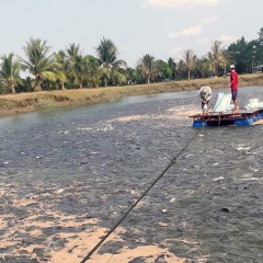 Nhận diện ao nuôi thương phẩm