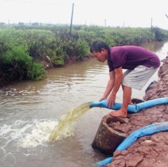Tiền Hải: Chủ động tiêu nước vùng nuôi trồng thủy sản