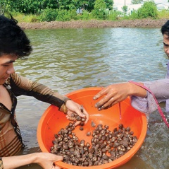 An toàn lao động trong nuôi trồng thủy sản