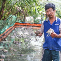 Thành "triệu phú" nhờ nuôi ếch