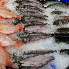 Thuỷ sản "dồn sức" cho cuối năm