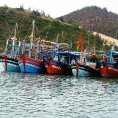 Cát Khánh: Bảo vệ nguồn lợi nhờ tổ đồng quản lý nghề cá ven bờ