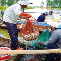 Tập trung bảo vệ nguồn lợi thủy sản