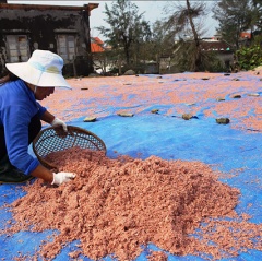 Phú Diên được mùa khuyết